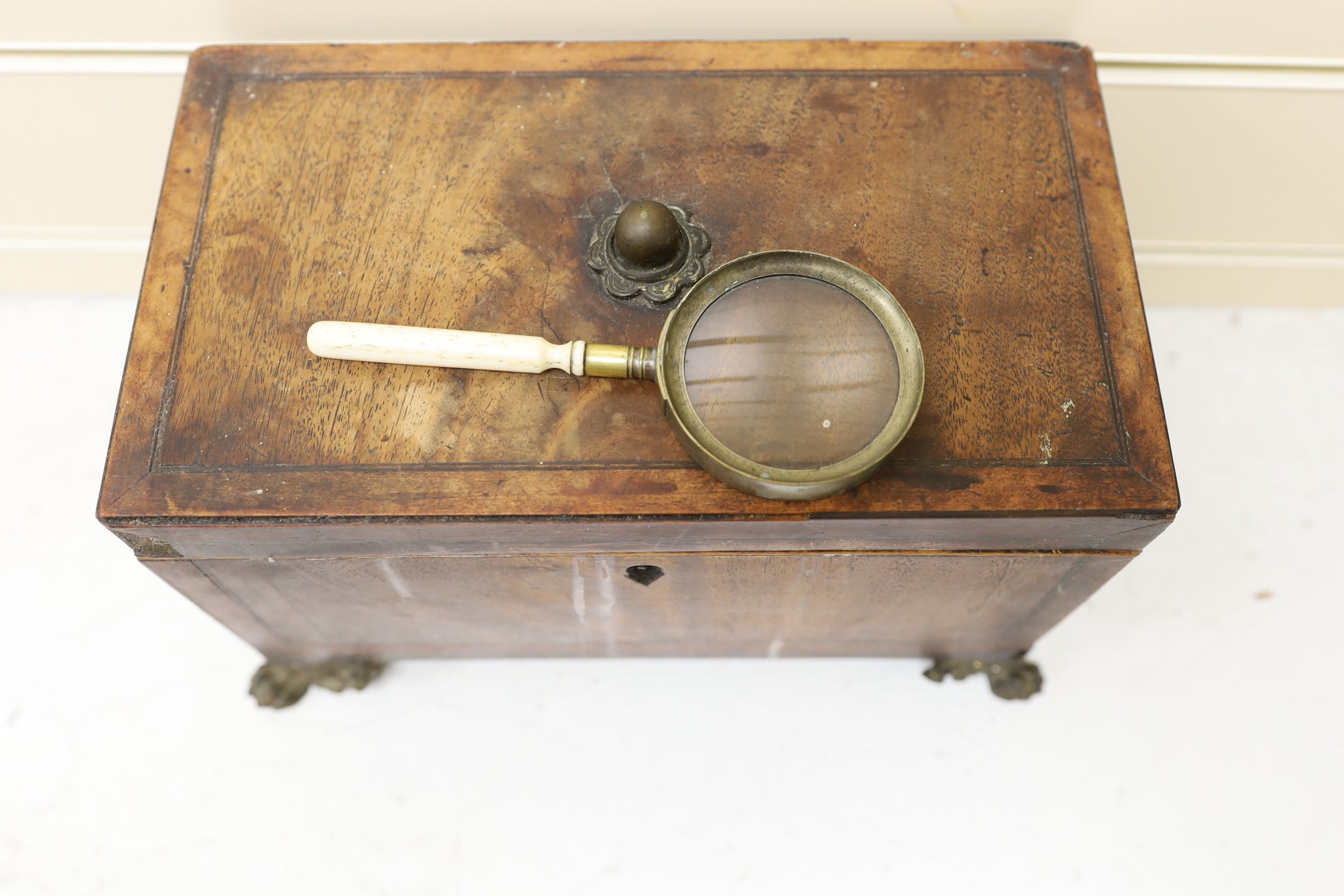 A George IV mahogany tea caddy (a.f.), together with a mounted antler plaque, and a bone handled magnifying glass